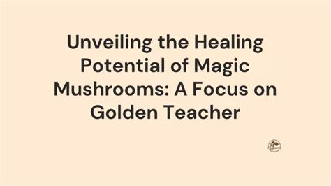 The role of magic medicine in traditional healing practices